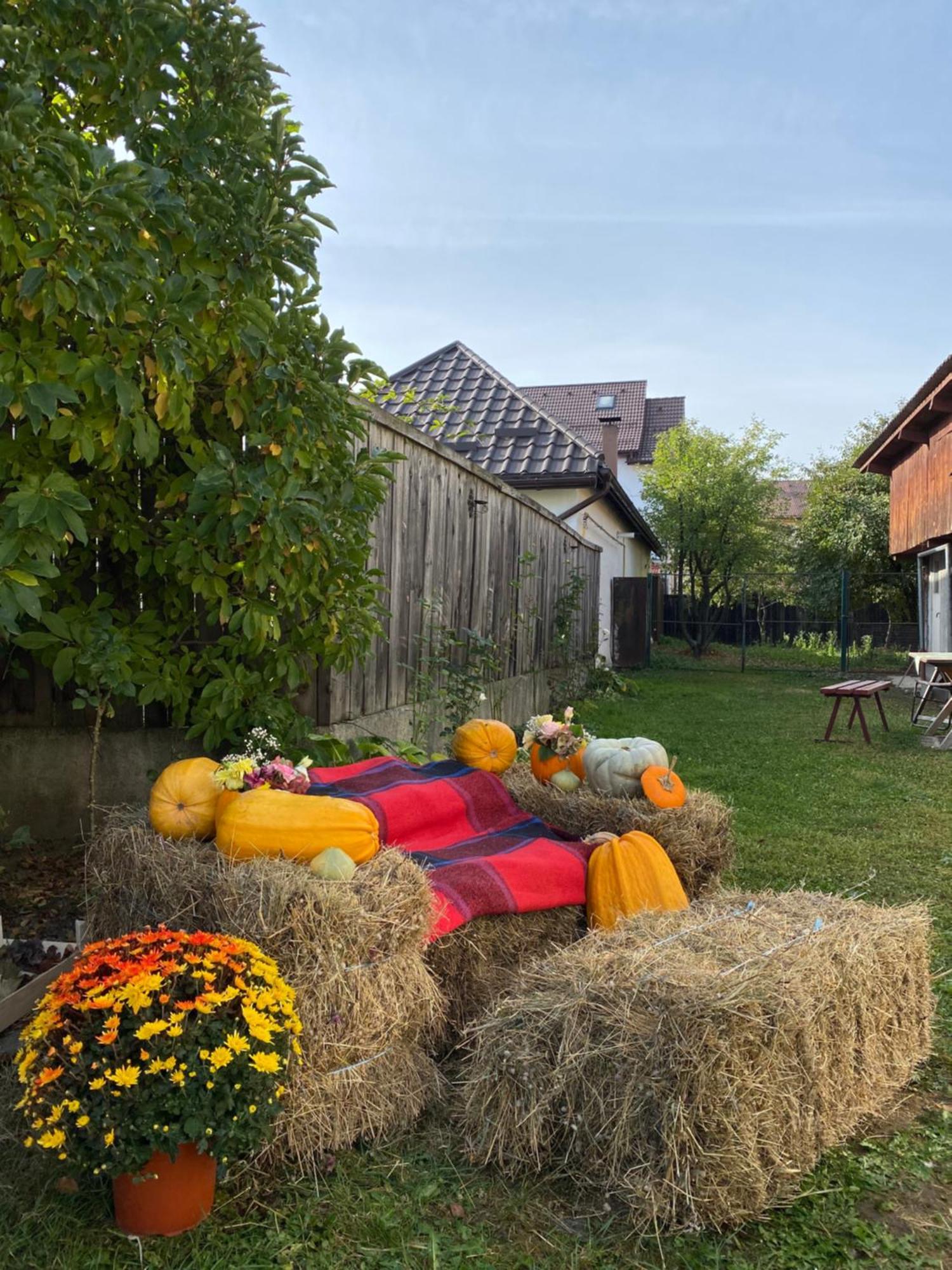 Grandma'S Cottage Sacele Exterior photo